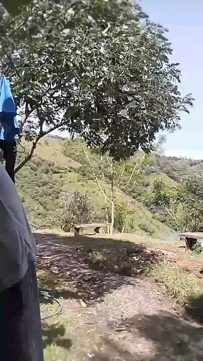 Remote_live