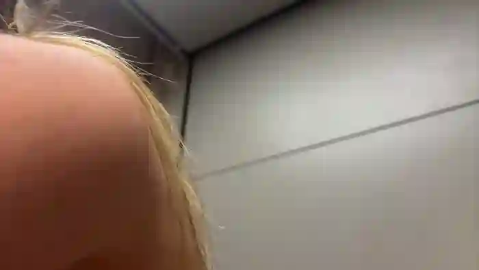 Monicrem