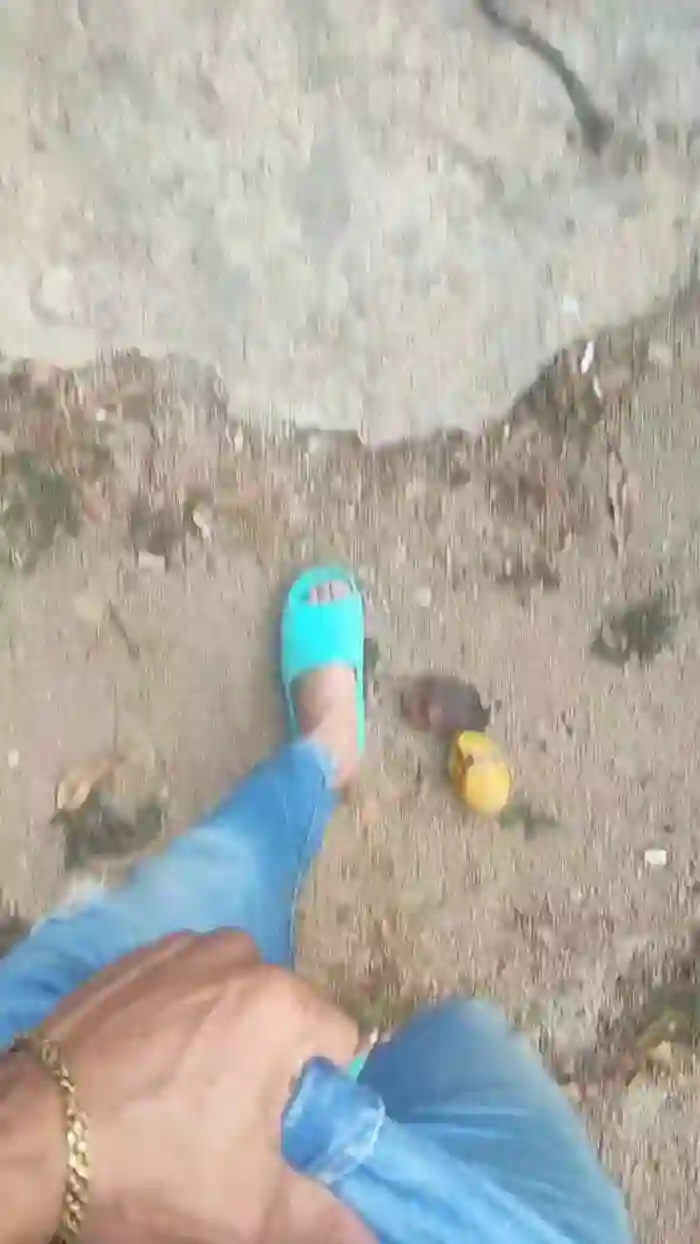 Papiyoungpig
