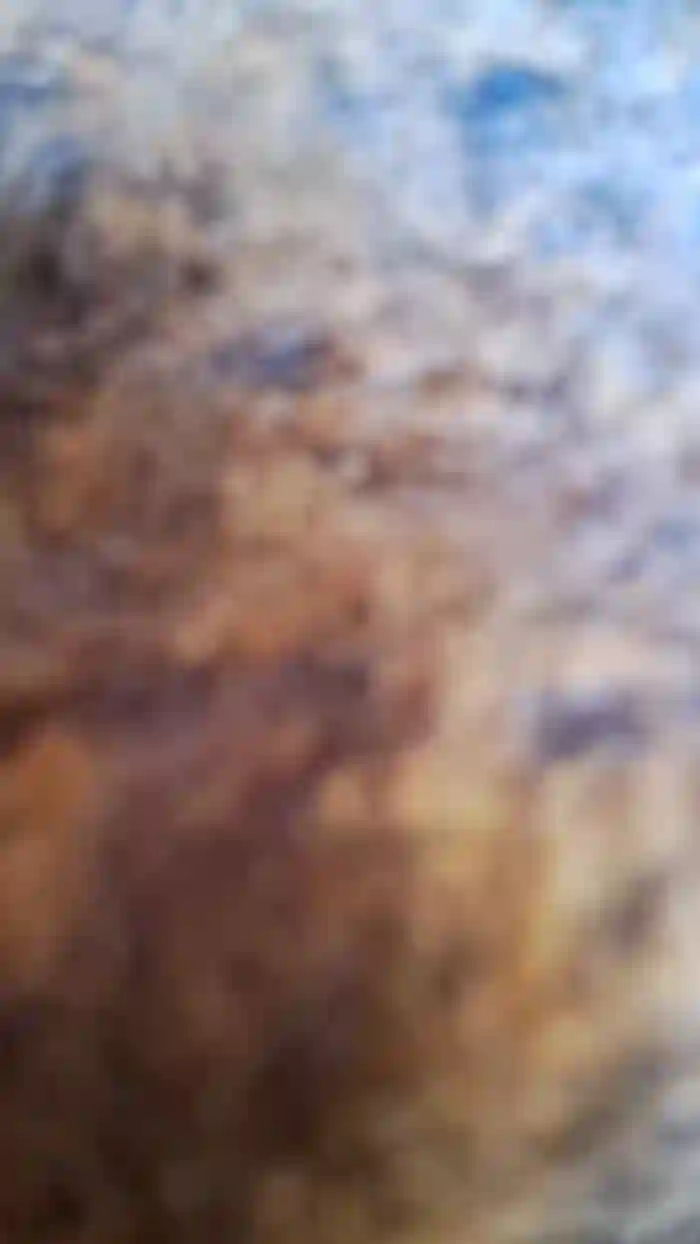icespice69