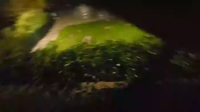 pollen_07