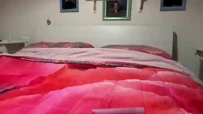 Olesia_gatta1