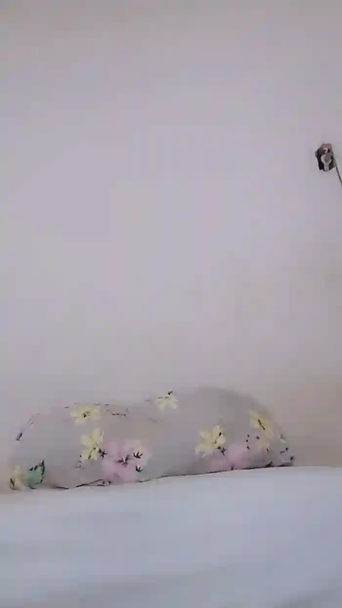 1YummyxDanda