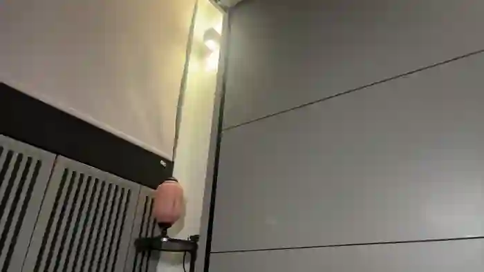 Monicrem