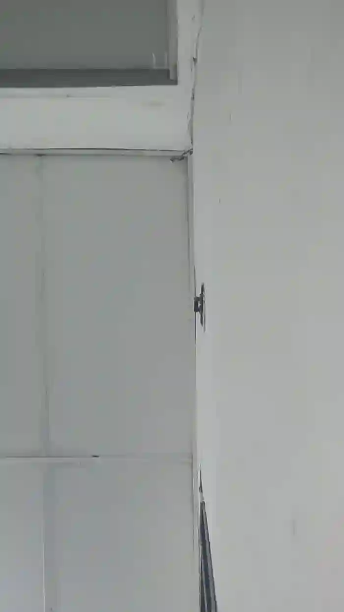 Papiyoungpig