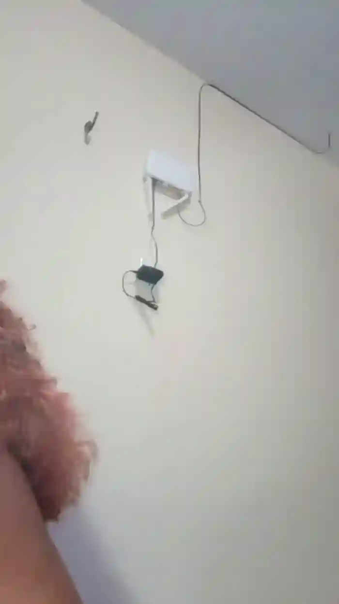 L_Lily