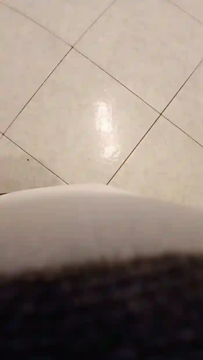 alessandravite1