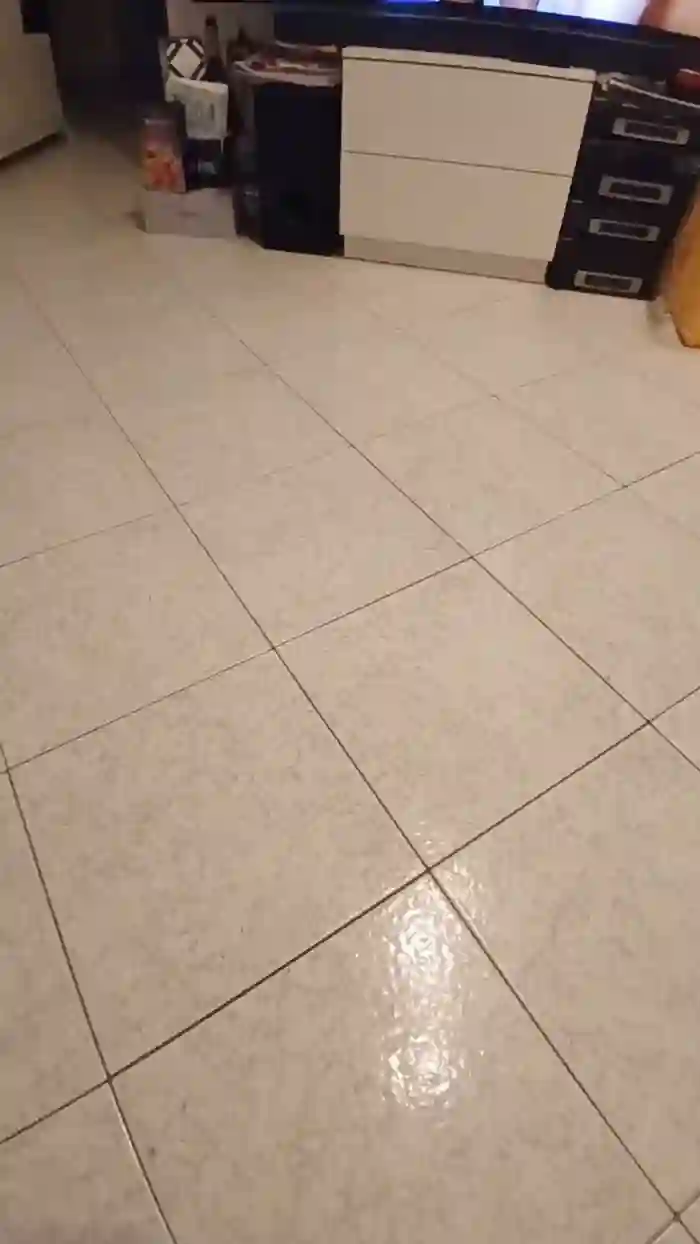 alessandravite1