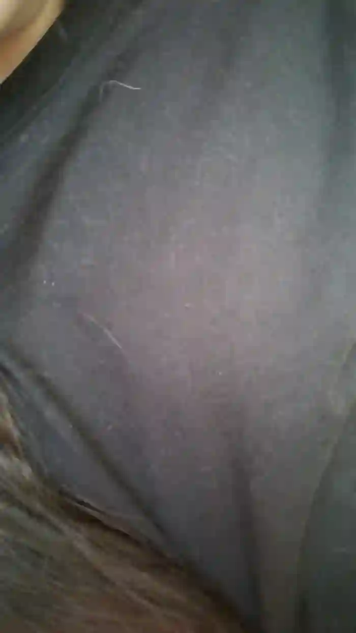 petitesantaslut