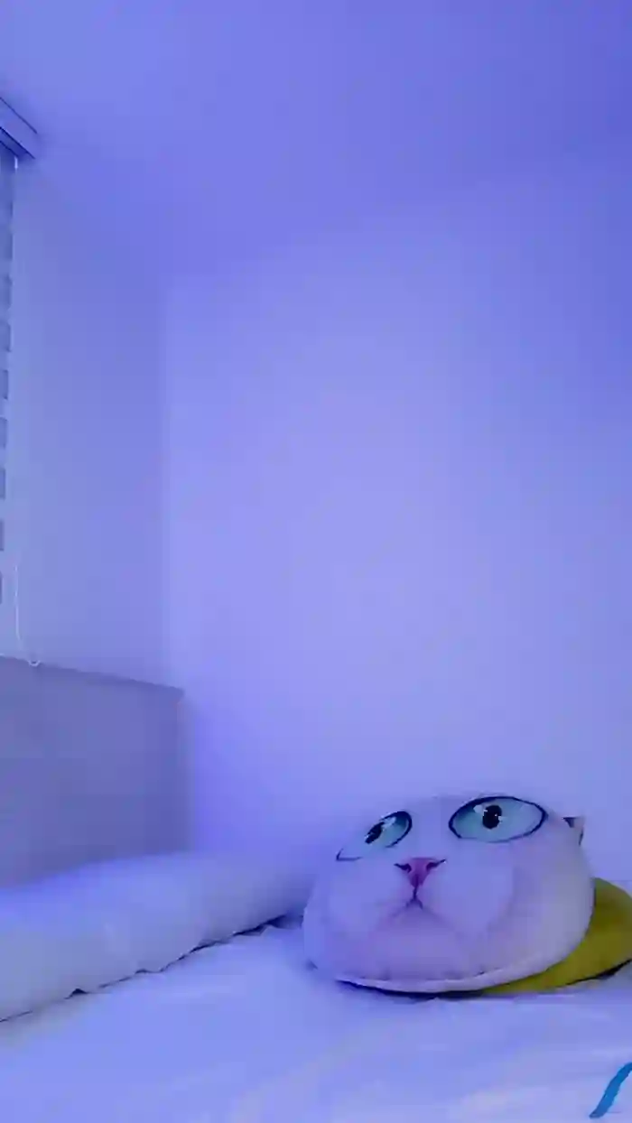 MonyCat_