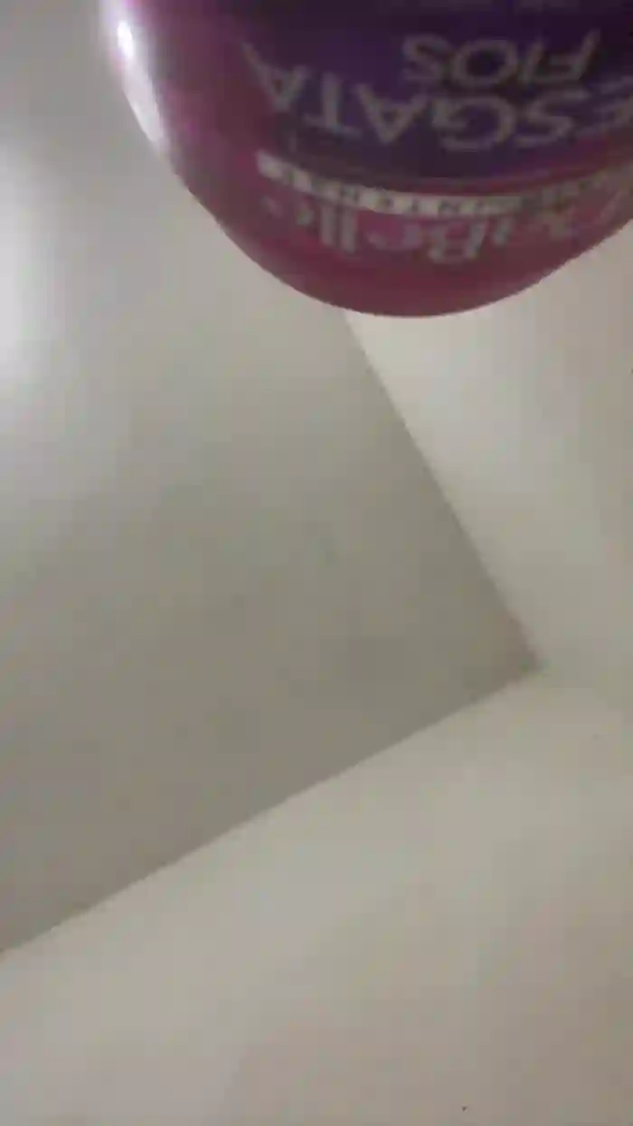 sa_fadinha69