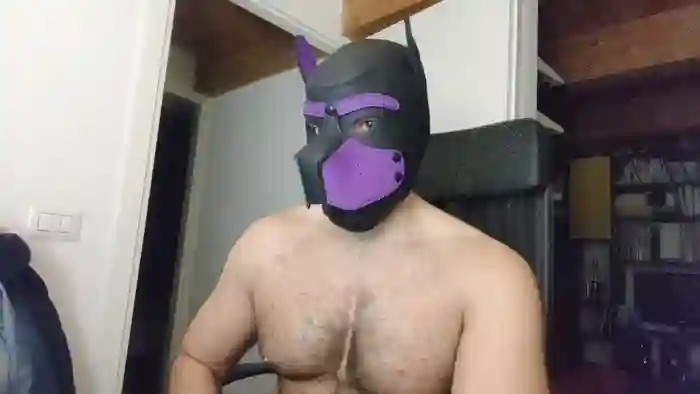 Hairypuppy82