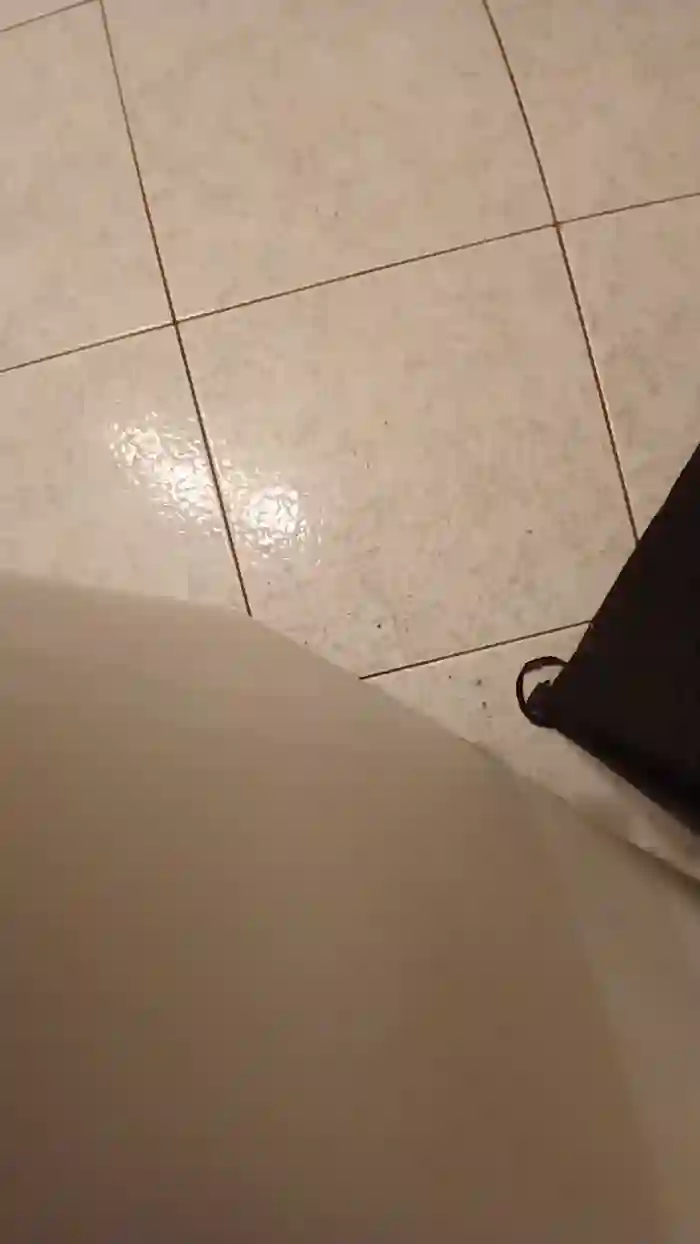 alessandravite1