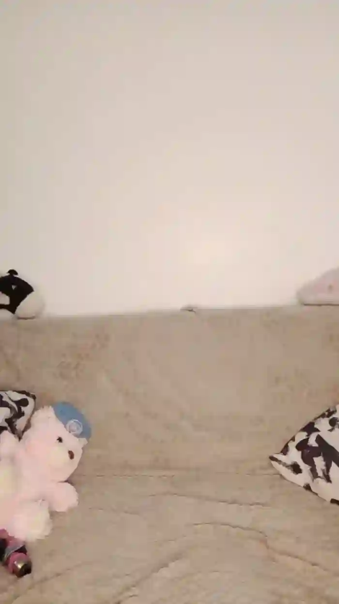 Mimidreve_