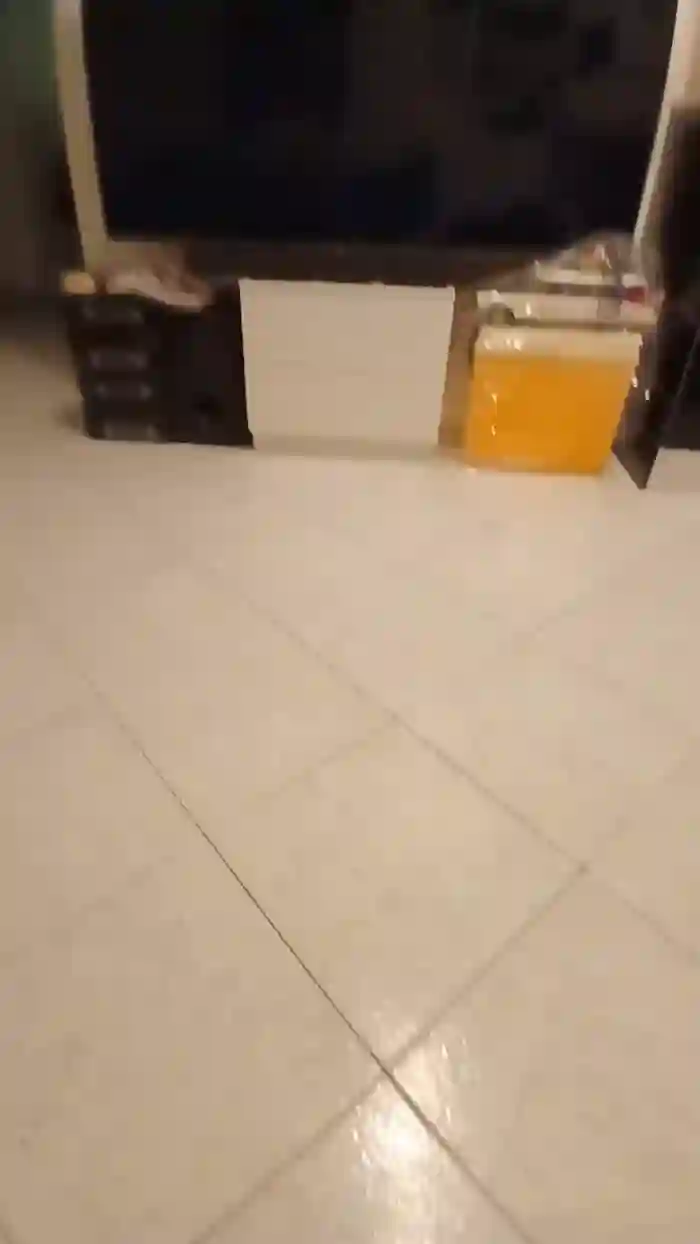 alessandravite1