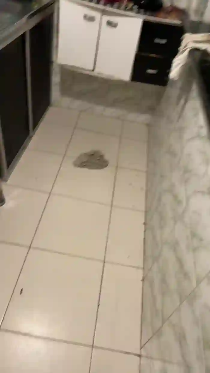 morenolongo98