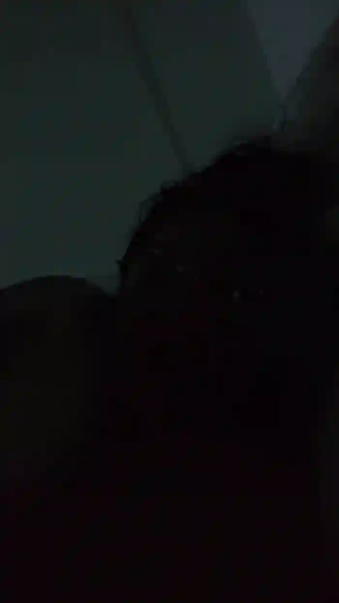 Caritovivi