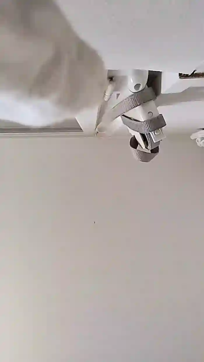 moijustemoi1