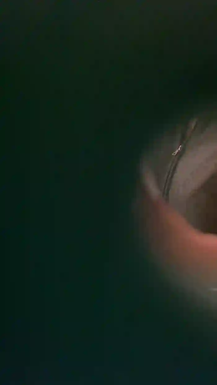 Mya79