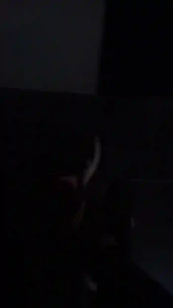 Daninoe1