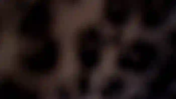 nicy71