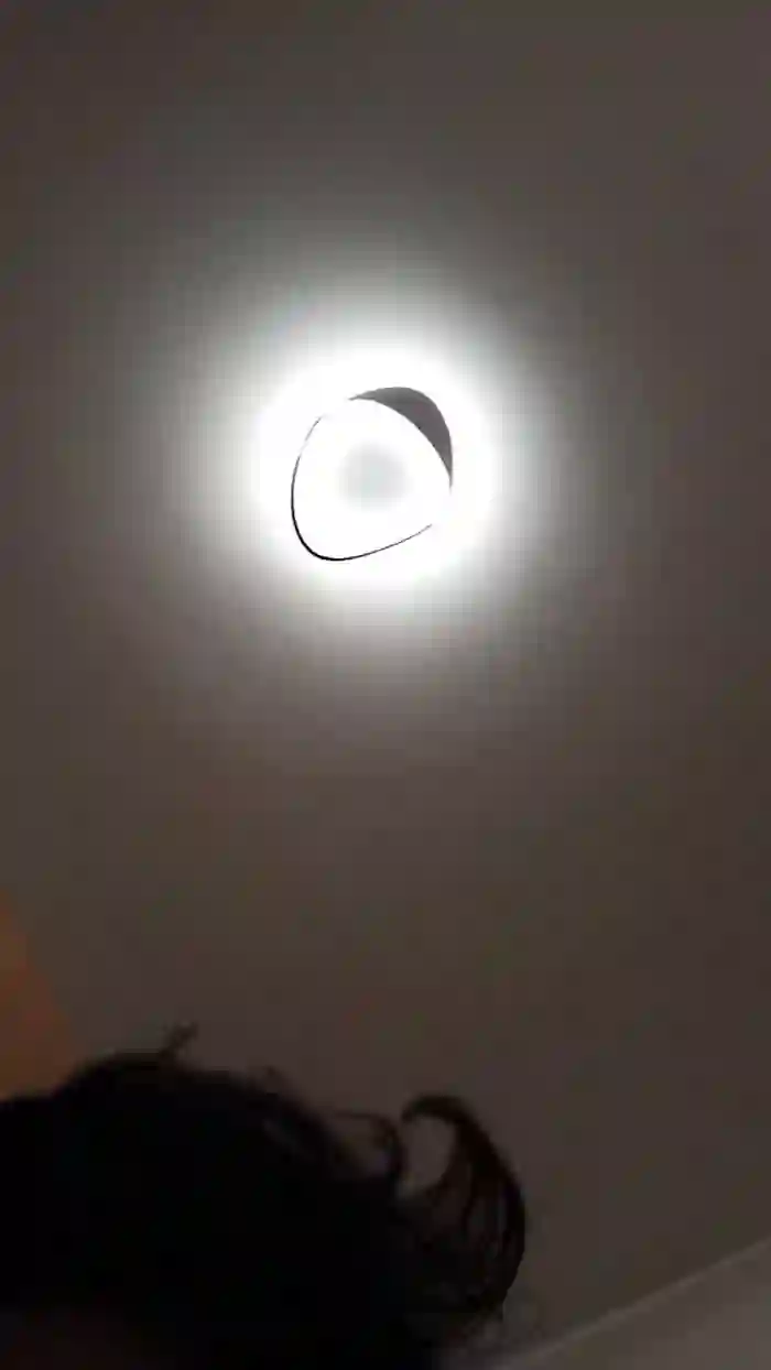 vogliadi6