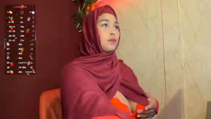 BBWHijab