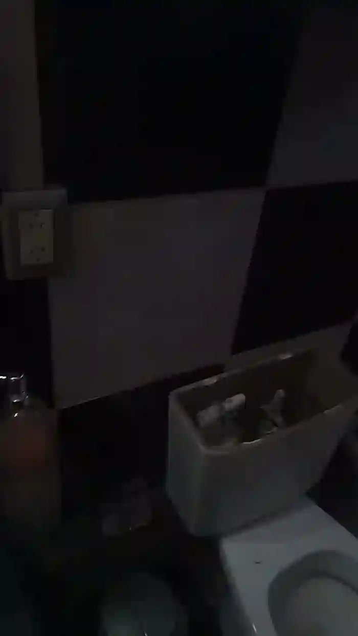 Daninoe1