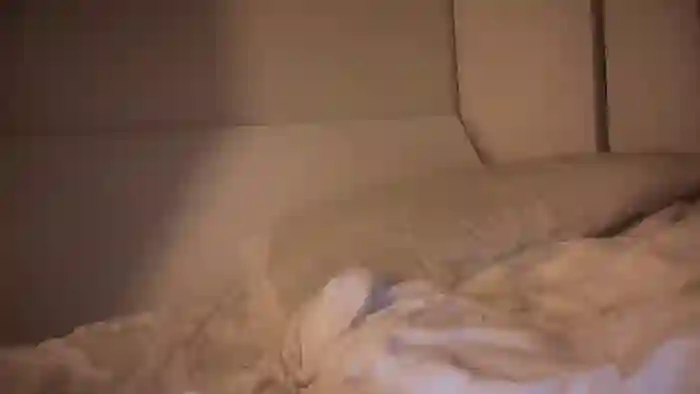 hung_american89