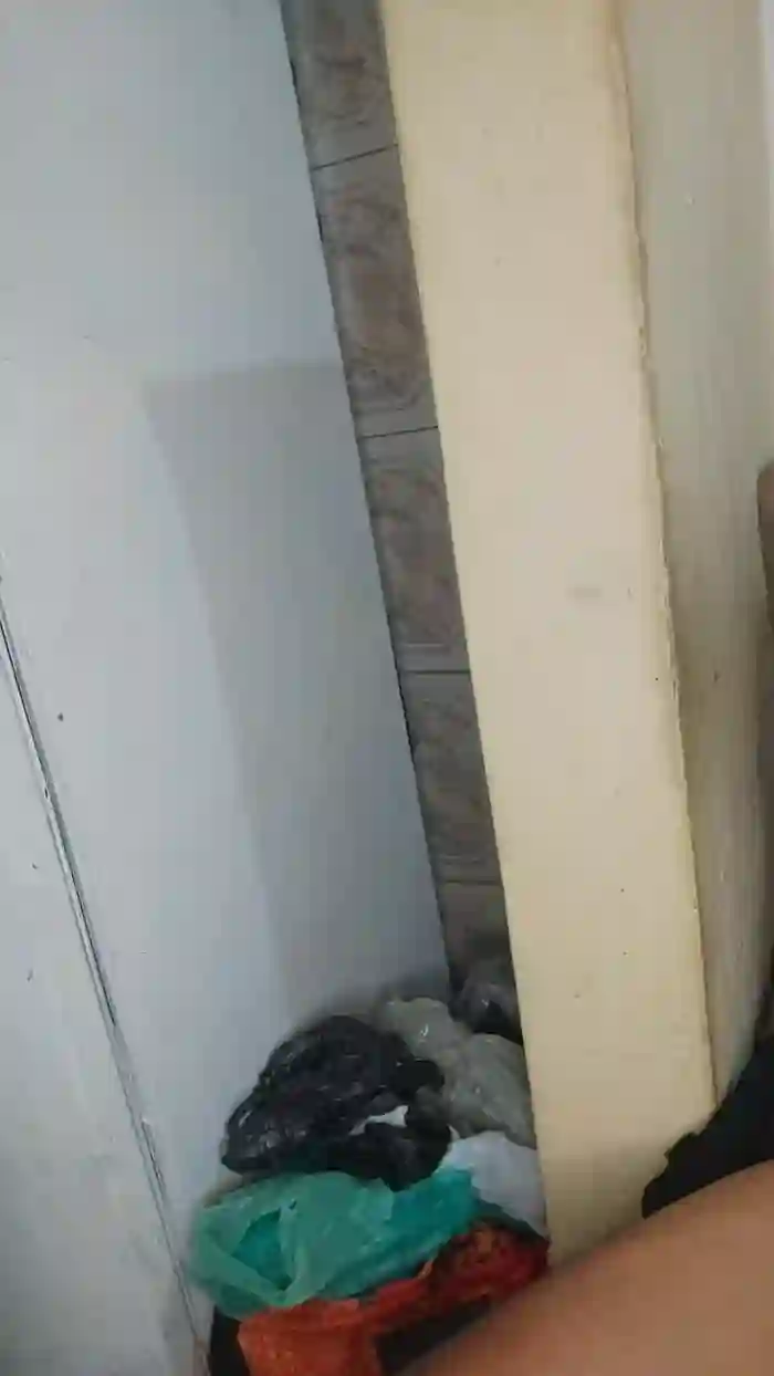 Nigeegeryano