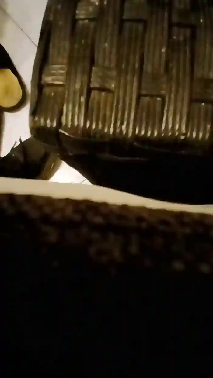 alessandravite1