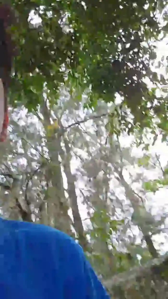kevinxlvx