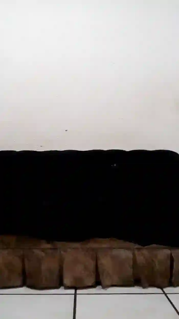 REGIHH_ROO