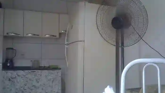leticiaquer