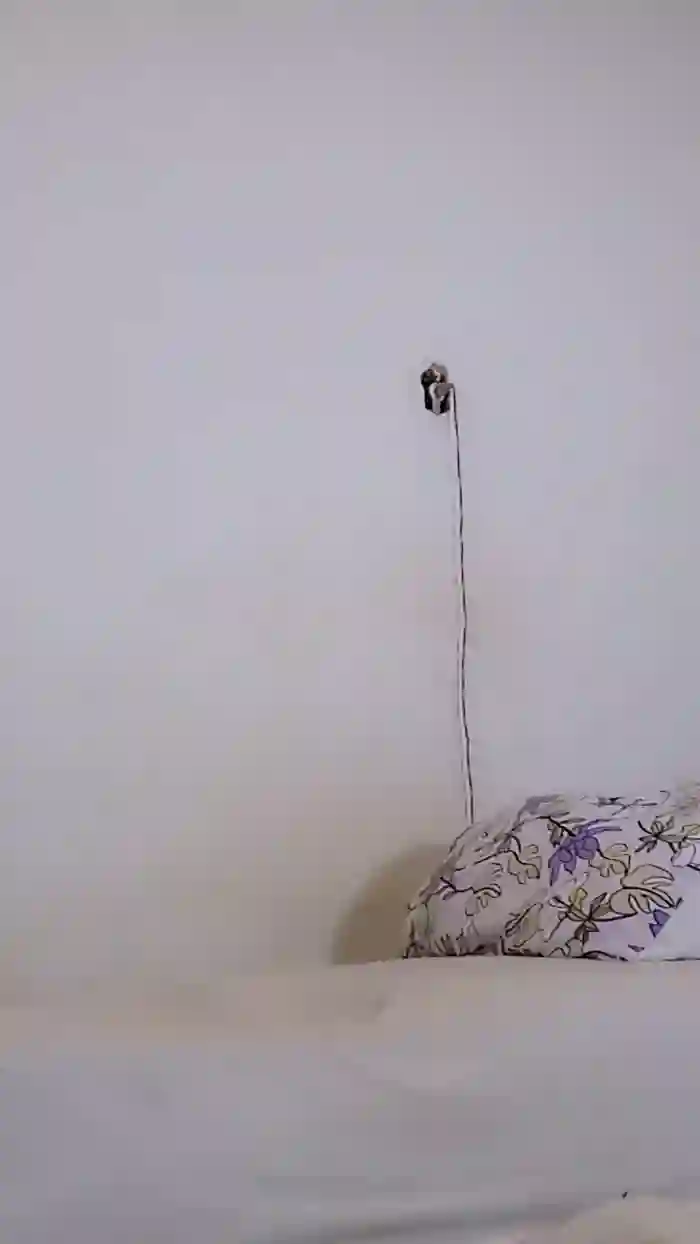 1YummyxDanda