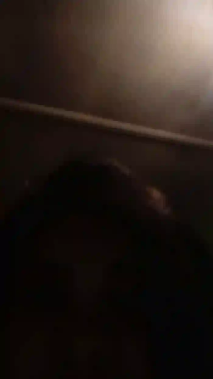 franch_xxx