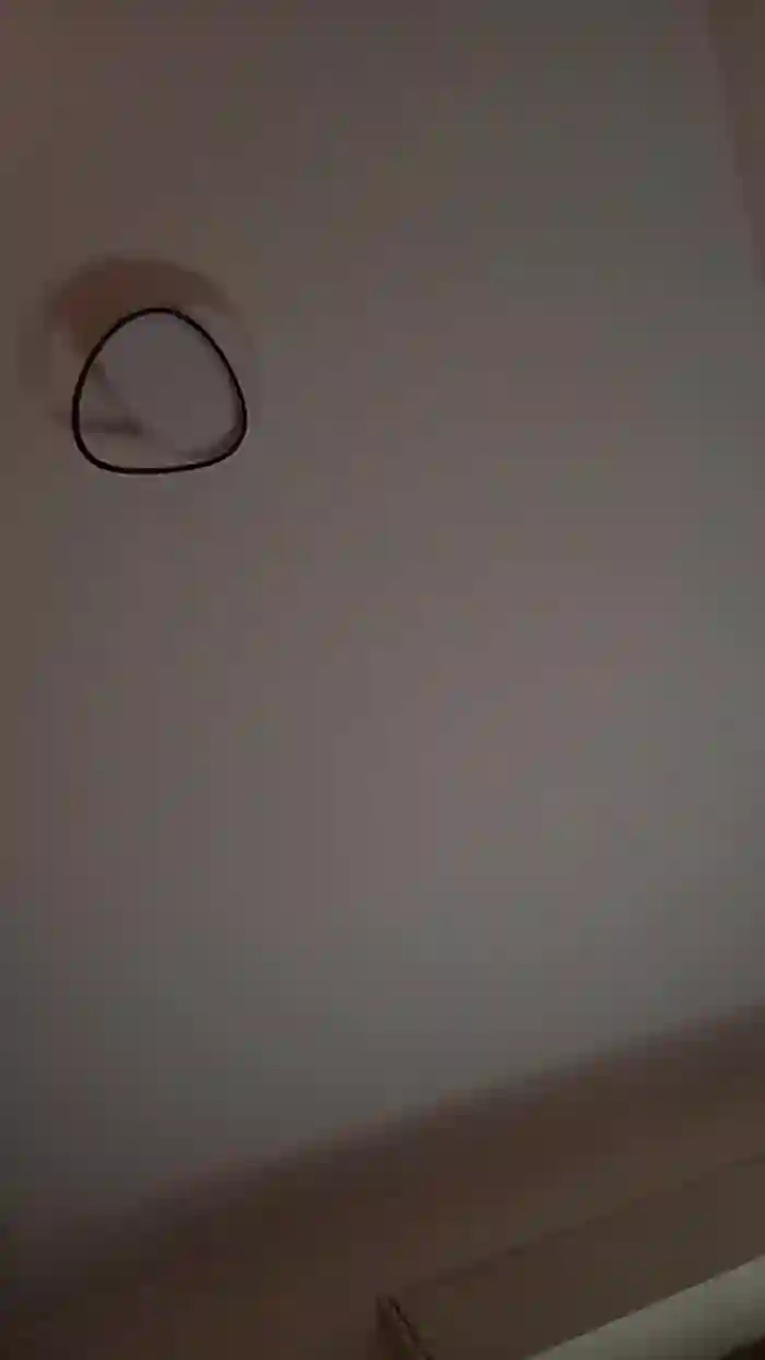 vogliadi6