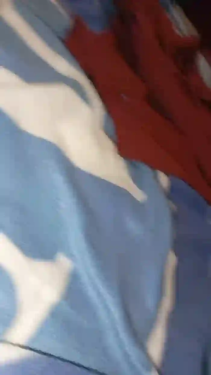 vogliadi6