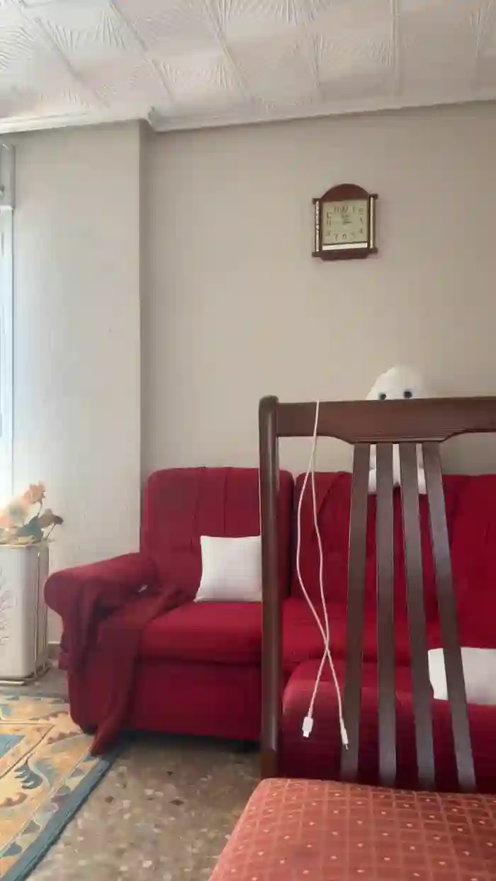 Cataleya97