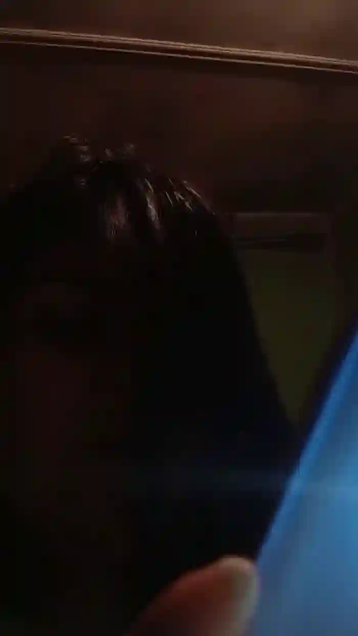franch_xxx