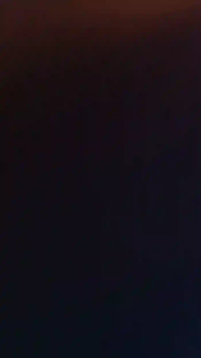 franch_xxx