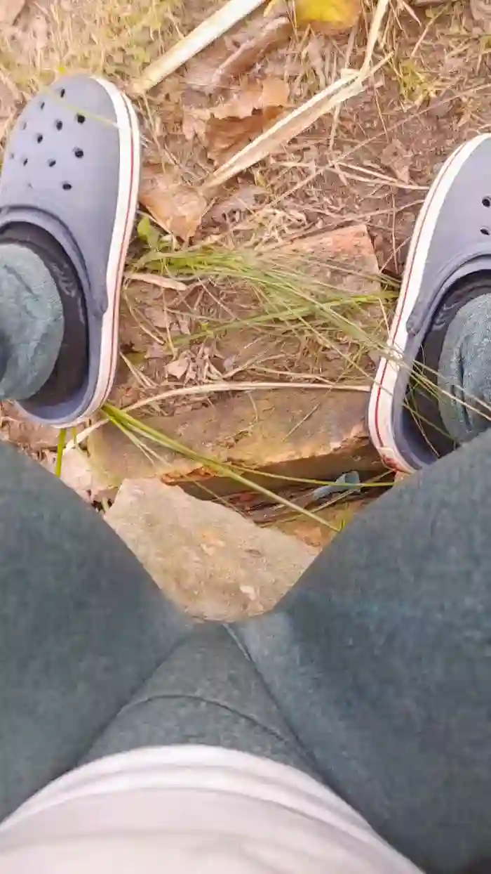 Conchamojadax