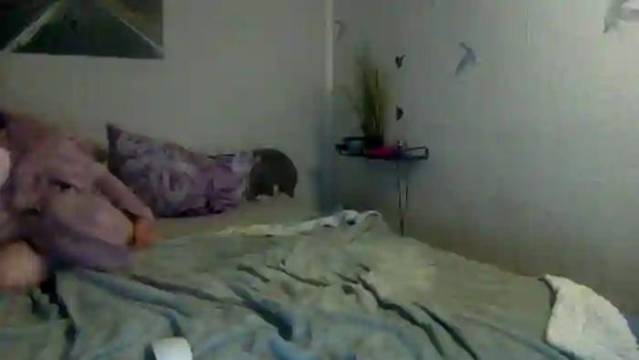 Pervcouple2007