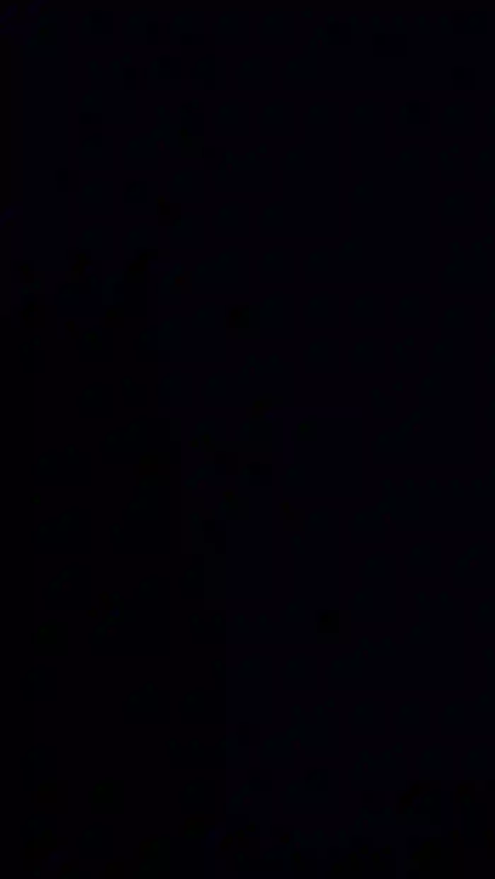 Conchamojadax