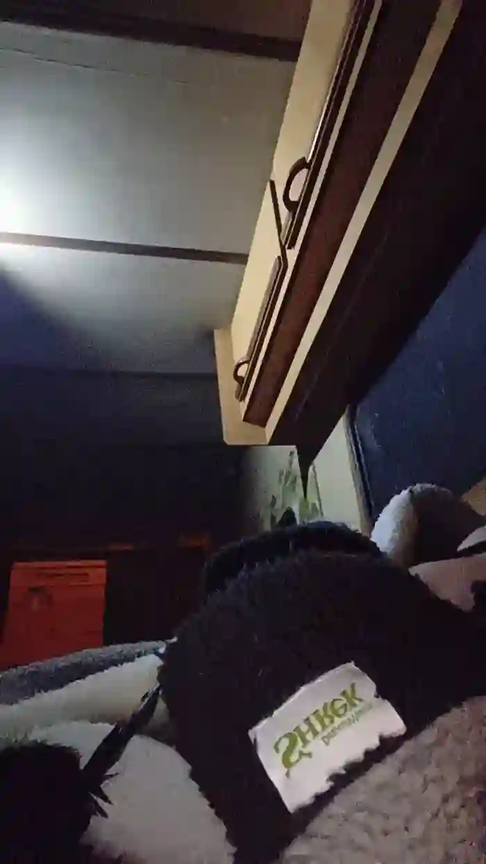 Hotledy69