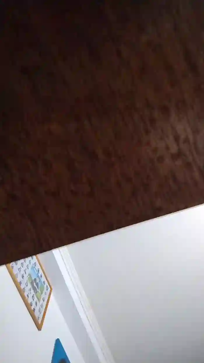 Latinaakita4