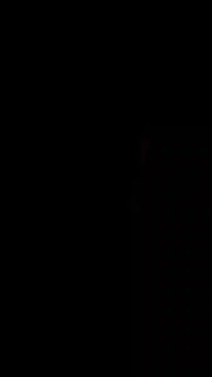 Libellule29