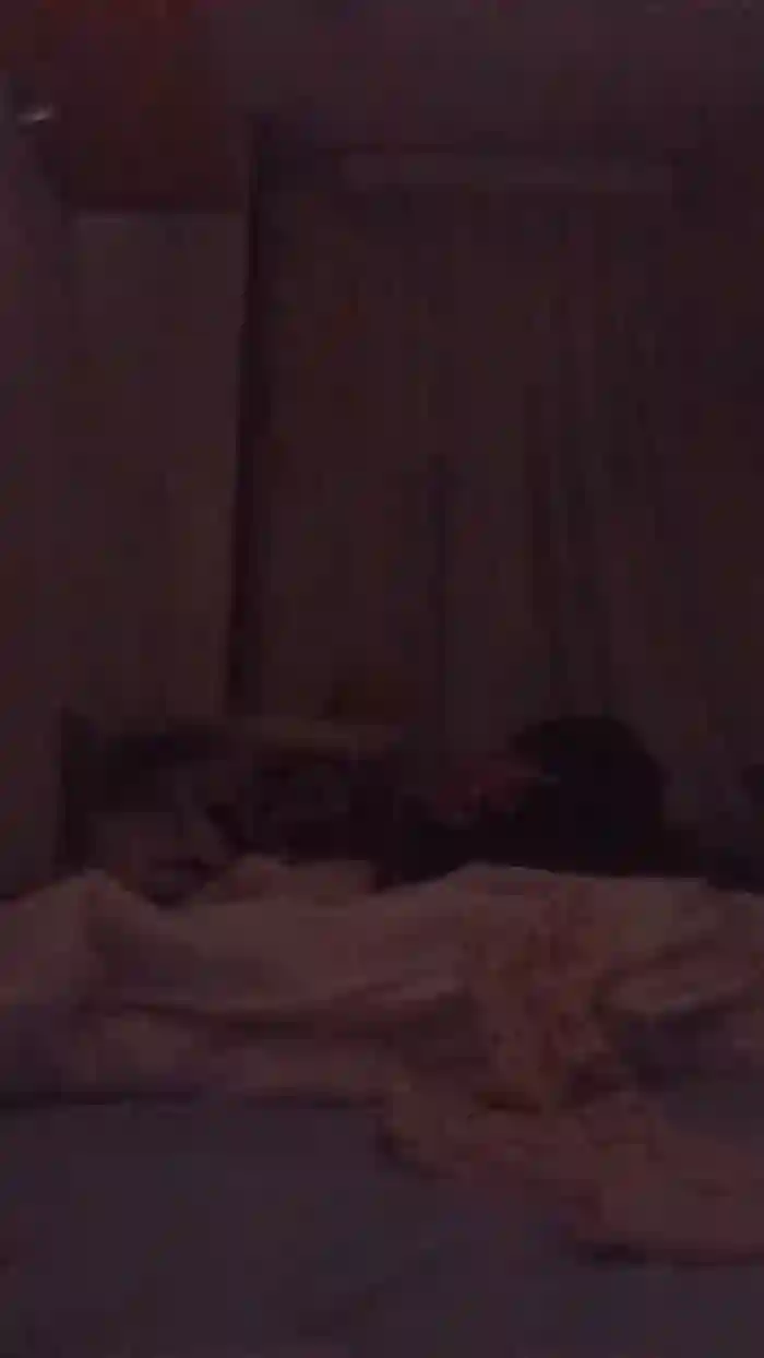 Sophiestar735