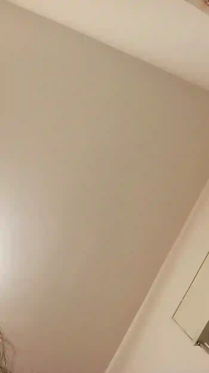 vogliadi6