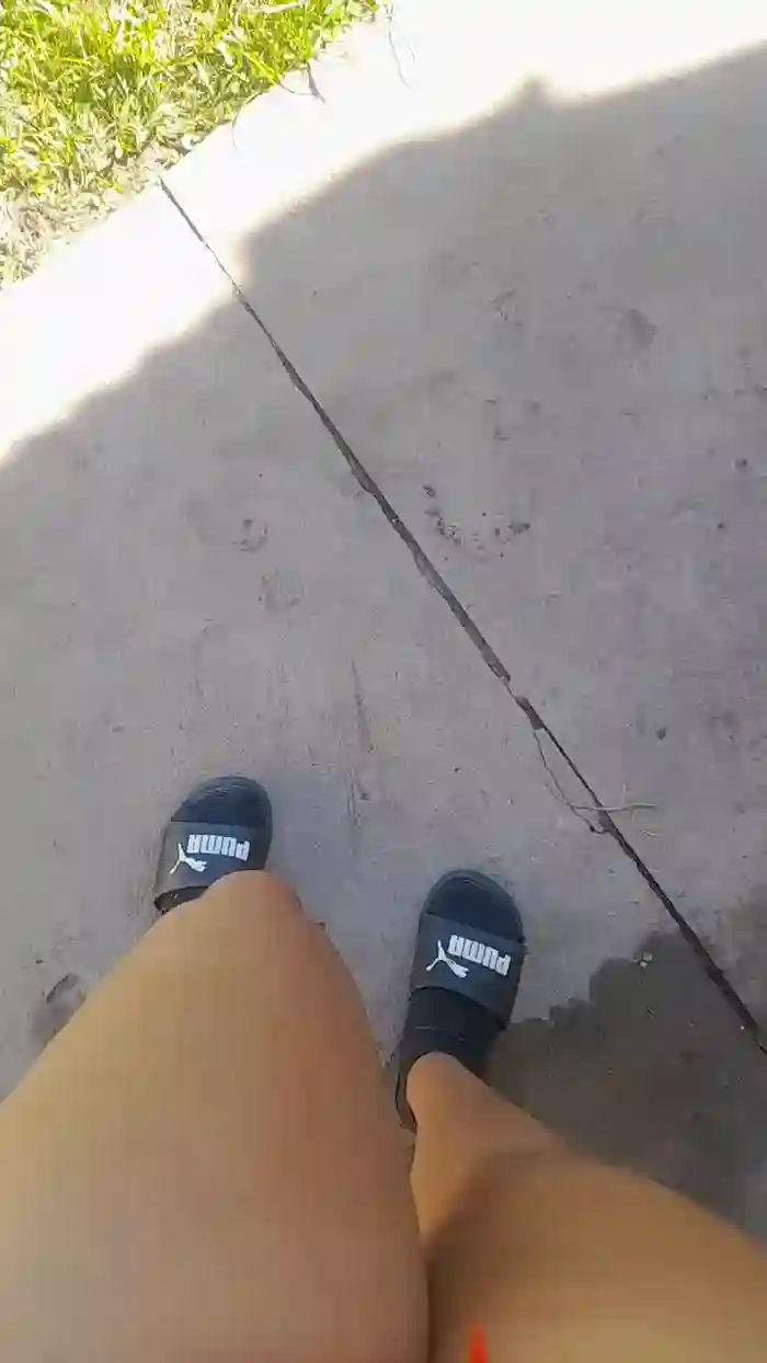 Conchamojadax